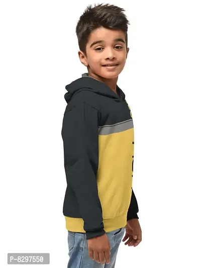 Stylish Cotton Blend Printed Hooded Sweatshirts For Boys- Pack Of 2-thumb2