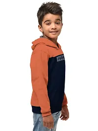 Stylish Cotton Blend Printed Hooded Sweatshirts For Boys- Pack Of 2-thumb1