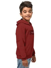 Stylish Cotton Blend Printed Hooded Sweatshirts For Boys  Pack Of 2-thumb1