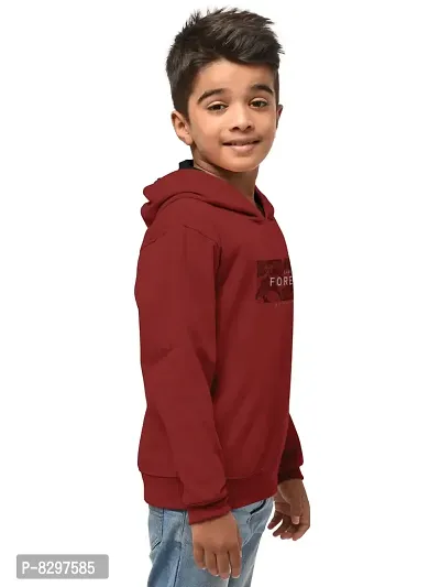 Stylish Cotton Blend Printed Hooded Sweatshirts For Boys- Pack Of 2-thumb2