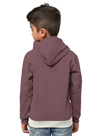Stylish Cotton Blend Hooded Sweatshirts For Boys-thumb2