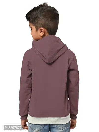 Stylish Cotton Blend Hooded Sweatshirts For Boys-thumb3