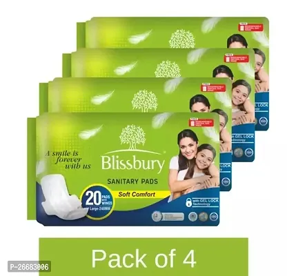 Comfortable Sanitary Pads Dry Net Large Super Absorbent For Women Pack Of 4