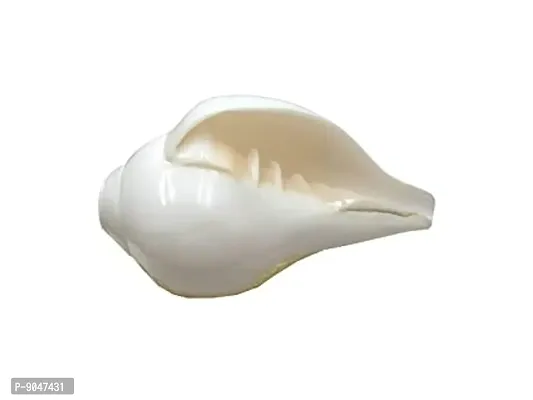 Pooja Natural Conch Shell