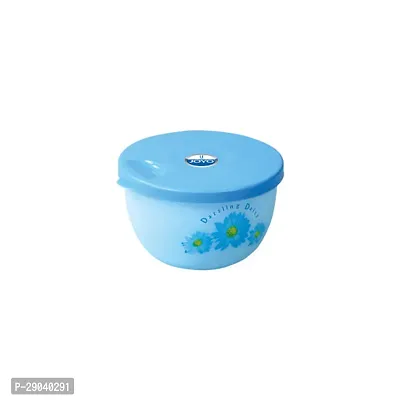 Plastic Storage Container Pack Of 2