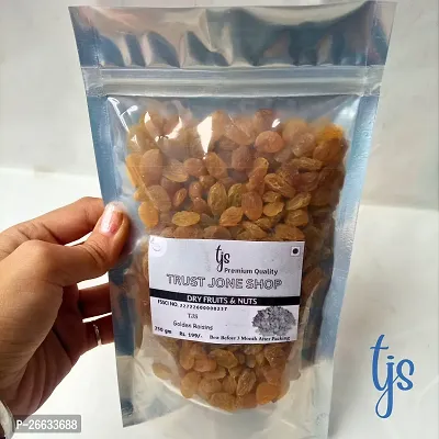 TJS Natural premium Quality Golden Raisins| Kishmish | Healthy Dry fruits |250Gm