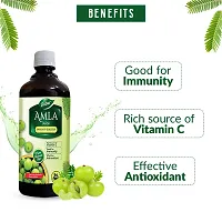 Dabur Amla Juice -1L | Rich Source of Vitamin C | Effective Antioxidants for Immunity boosting | Pure, Natural and 100% Ayurvedic Juice-thumb1