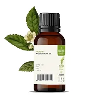 TMPE -Tea Tree Oil for Skin, Hair, Face, Acne Care, 100% Pure  Natural 30 ml Pack of 1-thumb2