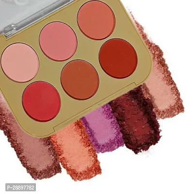 GS7 Blusher Beauty 6 Colors-thumb5