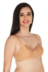 CHONCH PALLU BRA-thumb1