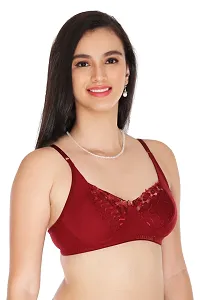 APPLE NET BRA_[RED,MAROON,PINK]_PACK-3-thumb2