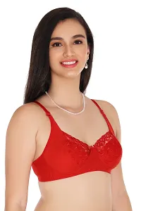 APPLE NET BRA_[RED,MAROON,PINK]_PACK-3-thumb4