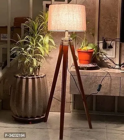 Decorative Floor Lamp for Home-thumb0