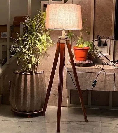 Decorative Floor Lamp for Home