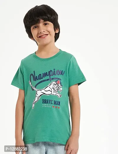 Stylish Multicoloured Cotton  Tees For Boys Pack Of 5-thumb3