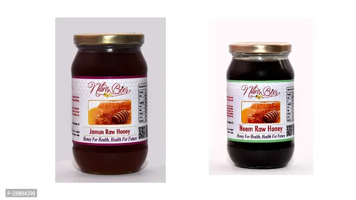 Honey Jamun Honey with Neem Raw Honey Pack of 2 Pack Of 2-thumb0