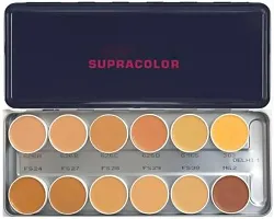 SupraColor Foundation Palette 12 Color Foundation (Delhi-1), 40 ml-thumb1