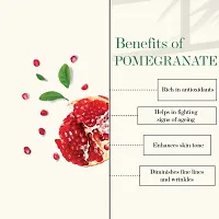 Pomegranate Rejuvenating Face Wash-thumb2