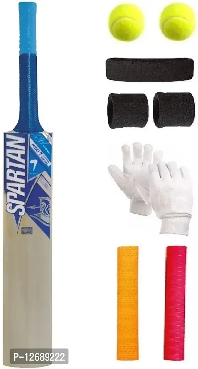 Blue Sticker Poplar Willow Cricket Bat (For Tennis Ball) Size-5 Combo (6 Items)-thumb0