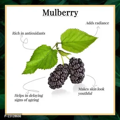 GOOD VIBES Mulberry Glow Toner (120 ml)-thumb2