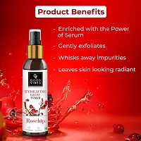 Hydrating Glow Rosehip Toner with Power Of Serum-thumb2