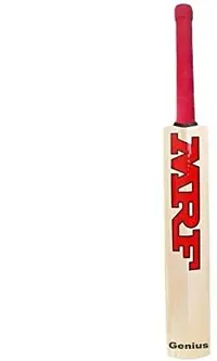 MRF Popular Willow Cricket Bat Poplar Willow Cricket Bat, Size-5 (Suitable For Tennis Ball Only)-thumb2
