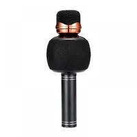 WSTER WS-2911 Wireless Microphone Speaker Karaoke-thumb1