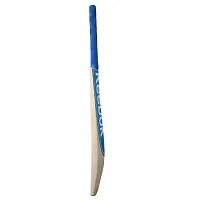 RK Icon Poplar Willow Cricket Bat, Size-Full (Suitable For Tennis Ball Only)-thumb1