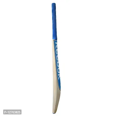 RK Icon Poplar Willow Cricket Bat, Size-Full (Suitable For Tennis Ball Only)-thumb2