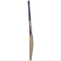 CEAT Bat Poplar Willow Cricket Bat, Size-Full (Suitable For Tennis Ball Only)-thumb1