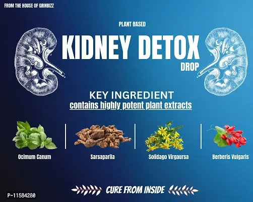 GRINBIZZ Kidney Detox Drop Help In Removing Kidney Stone  Manage Creatinine Level | Healthy Cleansing Support Liver, Urinary Tract, Kidney Clean | Bladder Cleanse | No Side Effects-thumb4