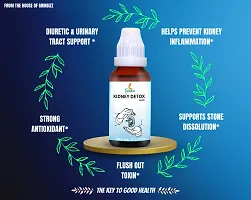 GRINBIZZ Kidney Detox Drop Help In Removing Kidney Stone  Manage Creatinine Level | Healthy Cleansing Support Liver, Urinary Tract, Kidney Clean | Bladder Cleanse | No Side Effects-thumb4