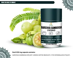 GRINBIZZ Garcinia Cambogia Capsule With 500mg/Helps Reduce Bad Fats/Weight Management and Detox/Fat Burner/Controls Hunger Pangs-thumb3