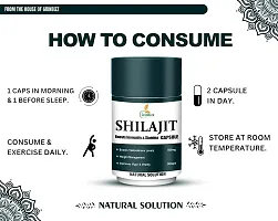 GRINBIZZ Shilajit Capsules Ayurvedic Capsules For Boost Strength | Stamina | Energy | Supports Metabolism | for Men  Women | No Side Effects - 20 Capsules-thumb2