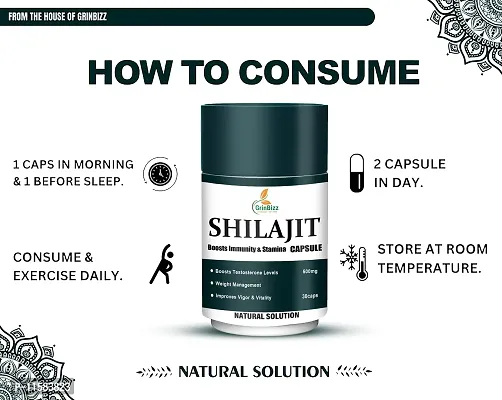 GRINBIZZ Shilajit Capsules Ayurvedic Capsules For Boost Strength | Stamina | Energy | Supports Metabolism | for Men  Women | No Side Effects - 20 Capsules-thumb3