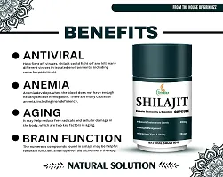 GRINBIZZ Shilajit Capsules Ayurvedic Capsules For Boost Strength | Stamina | Energy | Supports Metabolism | for Men  Women | No Side Effects - 20 Capsules-thumb4