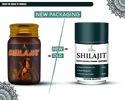 GRINBIZZ Shilajit Capsules Ayurvedic Capsules For Boost Strength | Stamina | Energy | Supports Metabolism | for Men  Women | No Side Effects - 20 Capsules-thumb3