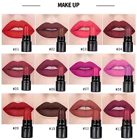 Pinner USA Popular Mini Matte Travel Combo Lipstick Set Of 12-thumb4