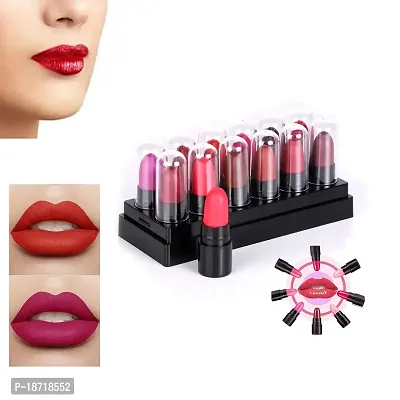 Pinner USA Popular Mini Matte Travel Combo Lipstick Set Of 12