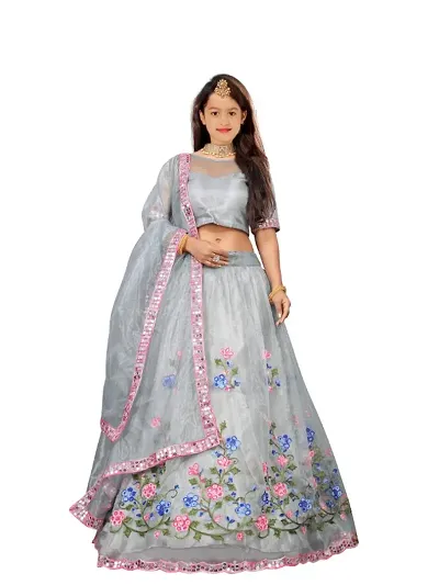 Girls Net Lehenga Cholis 