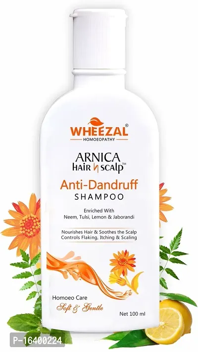 Arnica Hair n Scalp Anti-Dandruff Shampoo (PACK OF 2)