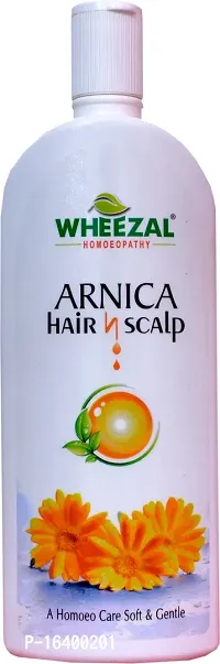 ARNICA HAIR N SCALP 500 ML