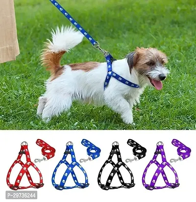 Puppy Harness Leash Collar Set Combo Offer of Small Dog Harness,  Leash  Collar Set (Multi-Color)