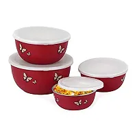 Zaib Microwave Safe Euro Steel Food Storage Bowl Set with Lid (Set of 4 Red Butterfly)-thumb4