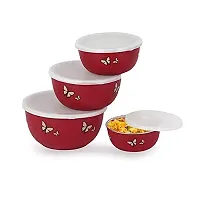 Zaib Microwave Safe Euro Steel Food Storage Bowl Set with Lid (Set of 4 Red Butterfly)-thumb2