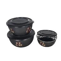 Microwave Safe Bowl Euro Bowl Set with Lid for Kitchen | Food Storage Container with lid set of 3-thumb3