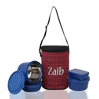 Zaib Premium Series Preserve  Serve: The Elite Collection of Food tiffin, Airtight Microwave Safe Re-heating capacity- 600ml, 400ml ,250ml ,100ml-thumb4