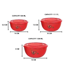 Zaib Stainless Steel Microwave Safe Mixing Bowl Set with Lid Food Storage Container for Kitchen (Set of 3 Red Butterfly)-thumb3