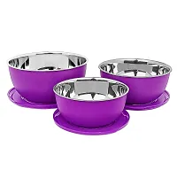 Stainless Steel Microwave Safe Euro Bowls 3 with lid-thumb3