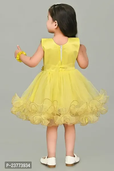 SR Fashion Casual Machine Embroidered Round Neck Knee Length Net Frock Dress for Kids Girls for Wedding, Birthday Party and Various Occasions-thumb5